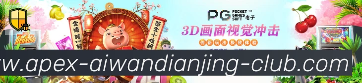 互动解说服务